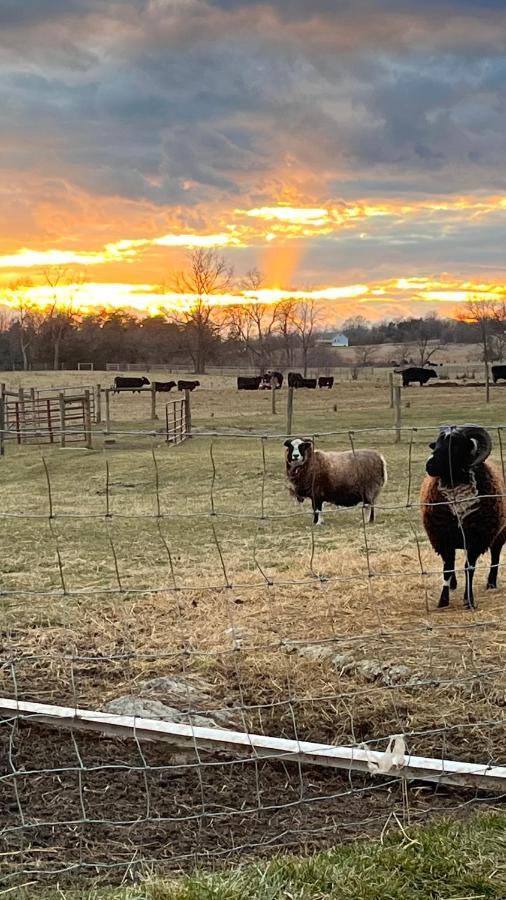 Luxury tent Shenandoah Valley Glamping - Amazing Views - Farm