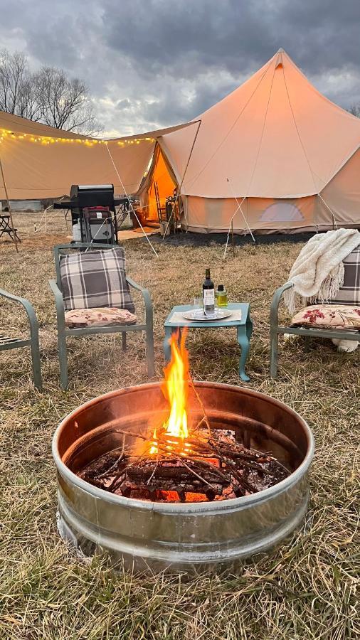 Luxury tent Shenandoah Valley Glamping - Amazing Views - Farm Edinburg