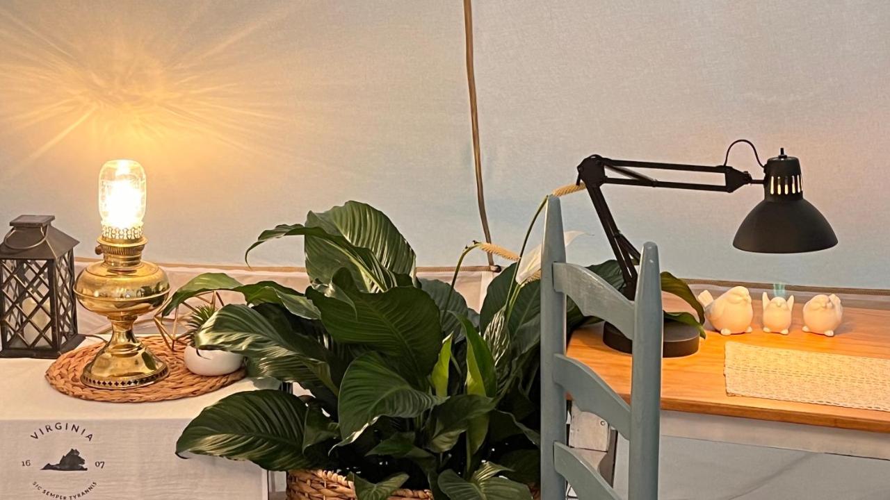 Shenandoah Valley Glamping - Amazing Views - Farm Luxury tent Edinburg
