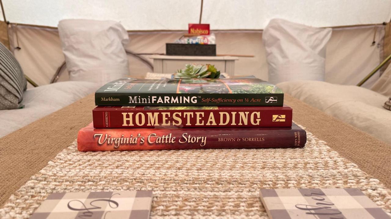 Shenandoah Valley Glamping - Amazing Views - Farm * Edinburg