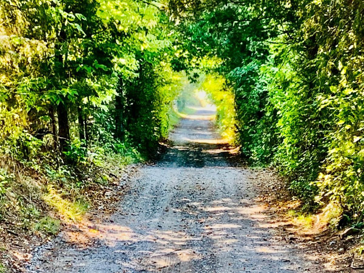 Shenandoah Valley Glamping - Amazing Views - Farm Edinburg